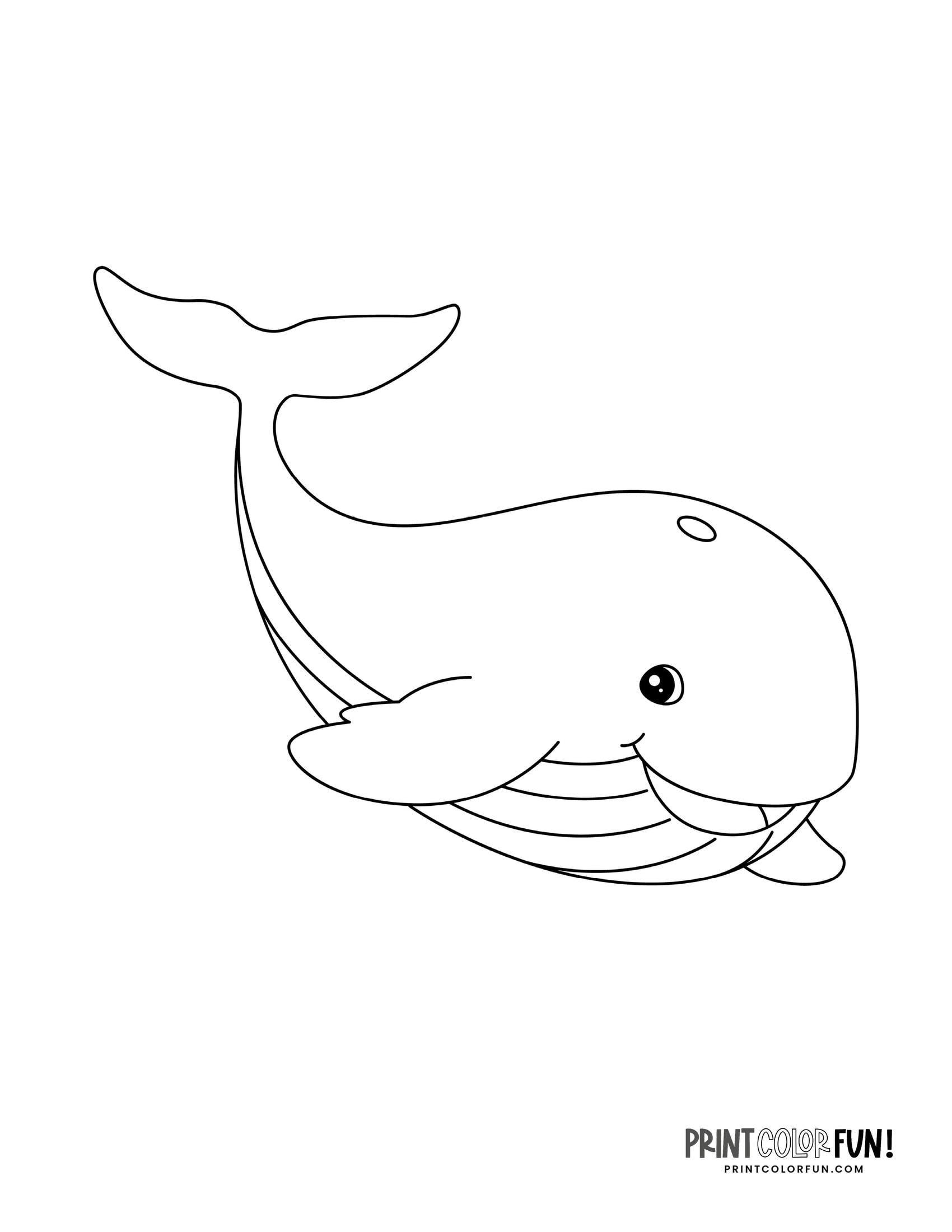 11X14 Whale Stencil Free Printable