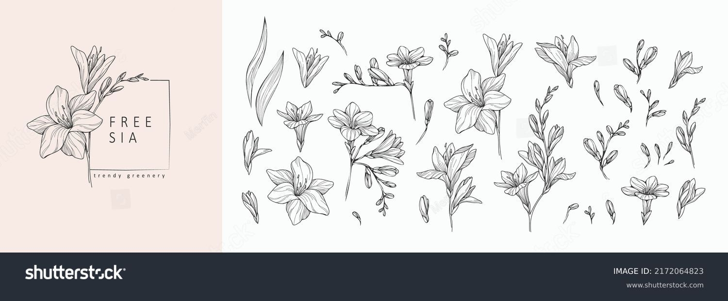Free Printable Sophisticated Lily Tattoo Stencils