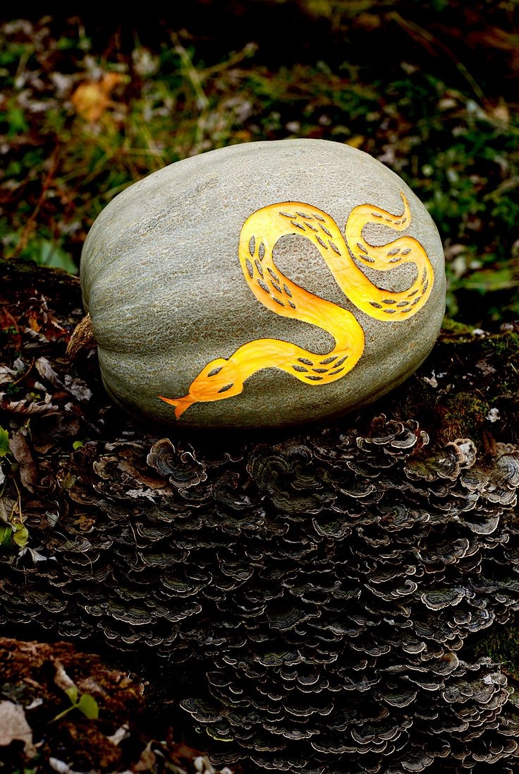 Free Printable Pumpkin Carving Stencils Snake