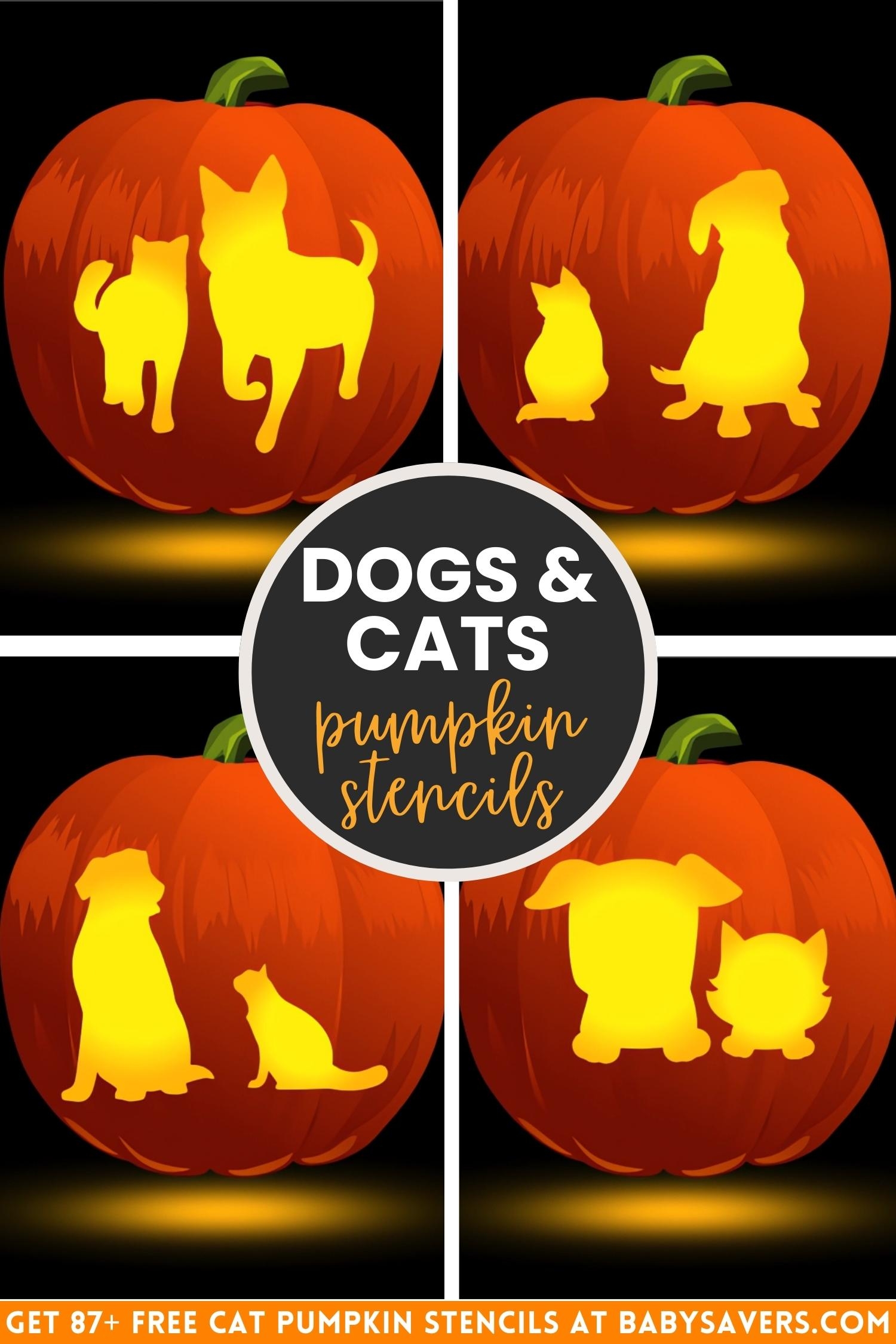 87 Free Cat Pumpkin Carving Stencils The Ultimate List 