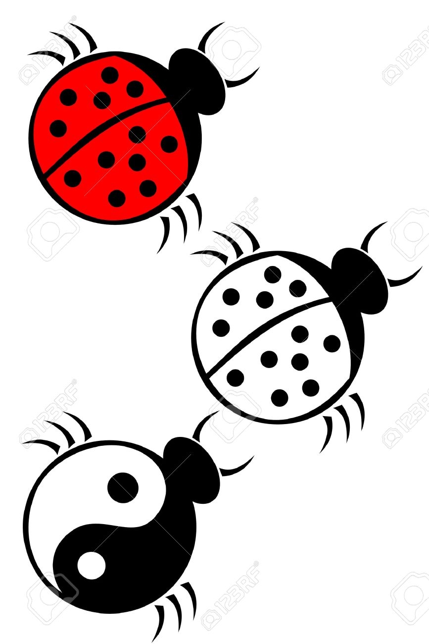 A Tribal Ladybug Tattoo Set Royalty Free SVG Cliparts Vectors And Stock Illustration Image 4560312 