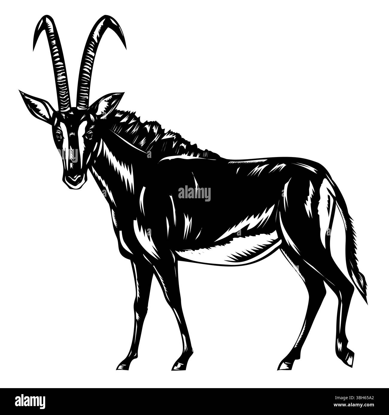 Antelope Stencil Hi res Stock Photography And Images Alamy