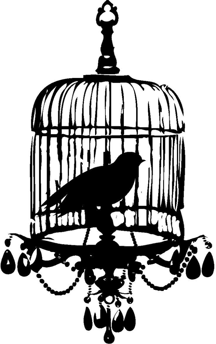 Bird Cage 2 gif 752 1 200 Pixels