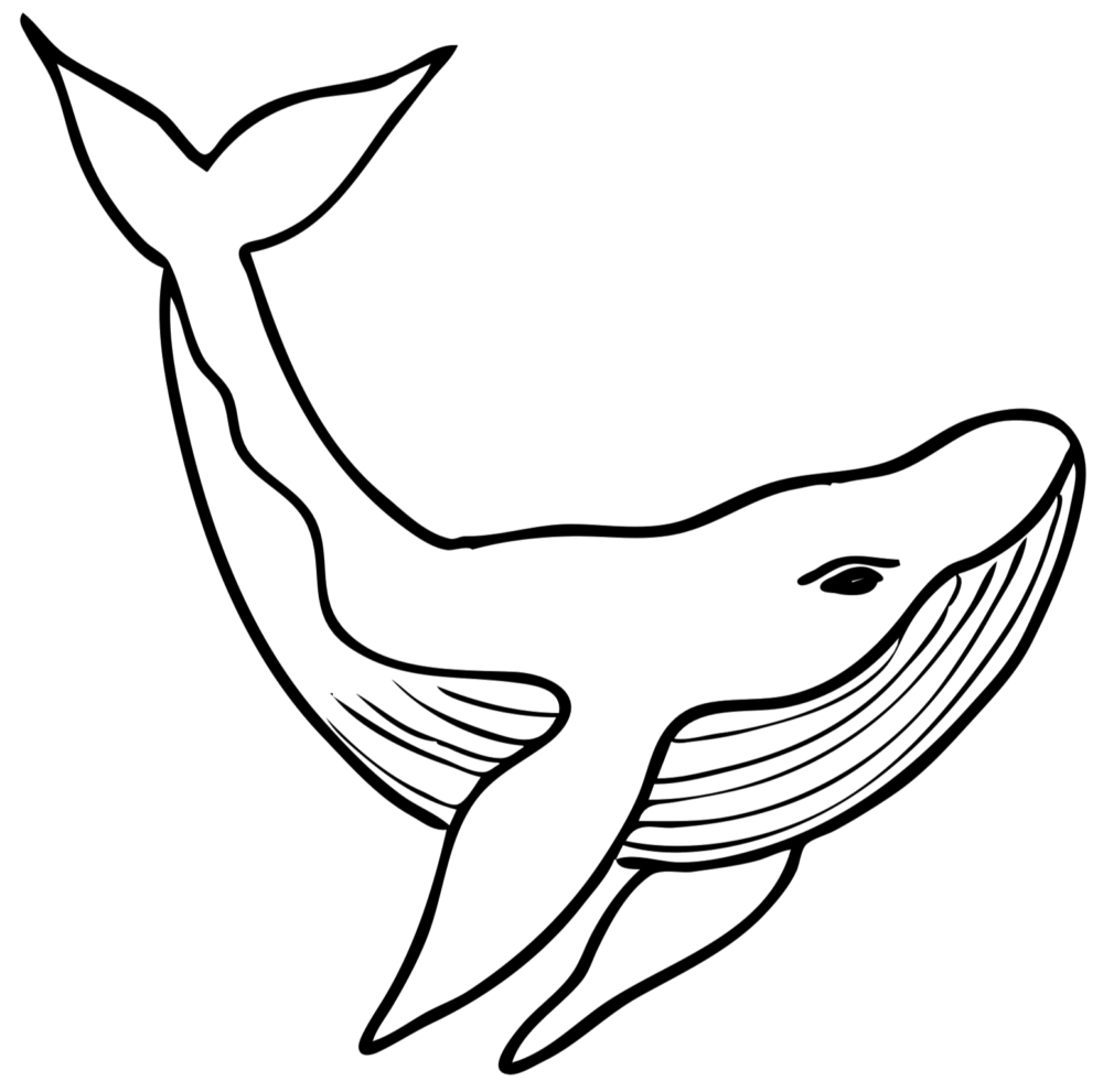 Blue Whale Traceable Tracie Kiernan Step By Step Painting