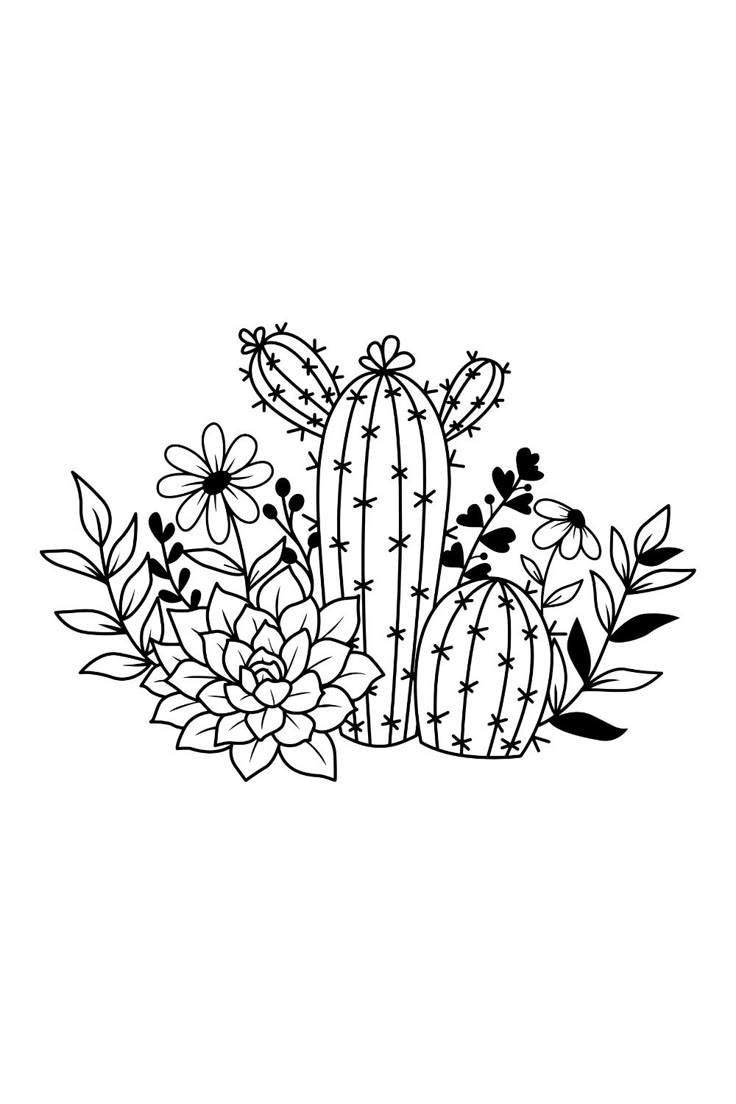 Cactus Plants Cacti SVG