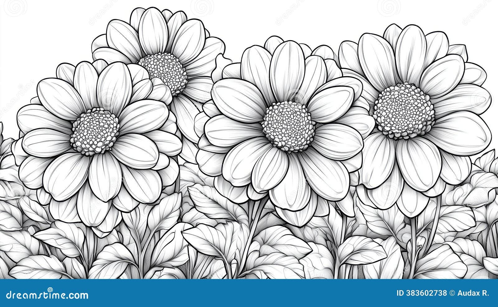 Daisy Coloring Stock Illustrations 3 111 Daisy Coloring Stock Illustrations Vectors Clipart Dreamstime