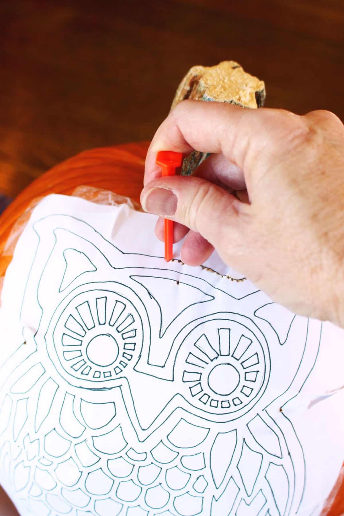 Free Printable Owl Face Pumpkin Stencils