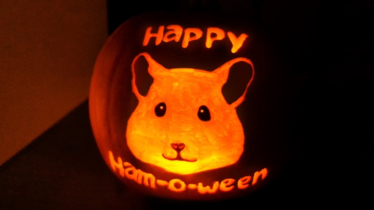 Dog Face On A Pumpkin Best Dog Pumpkin Carving Ideas 2022