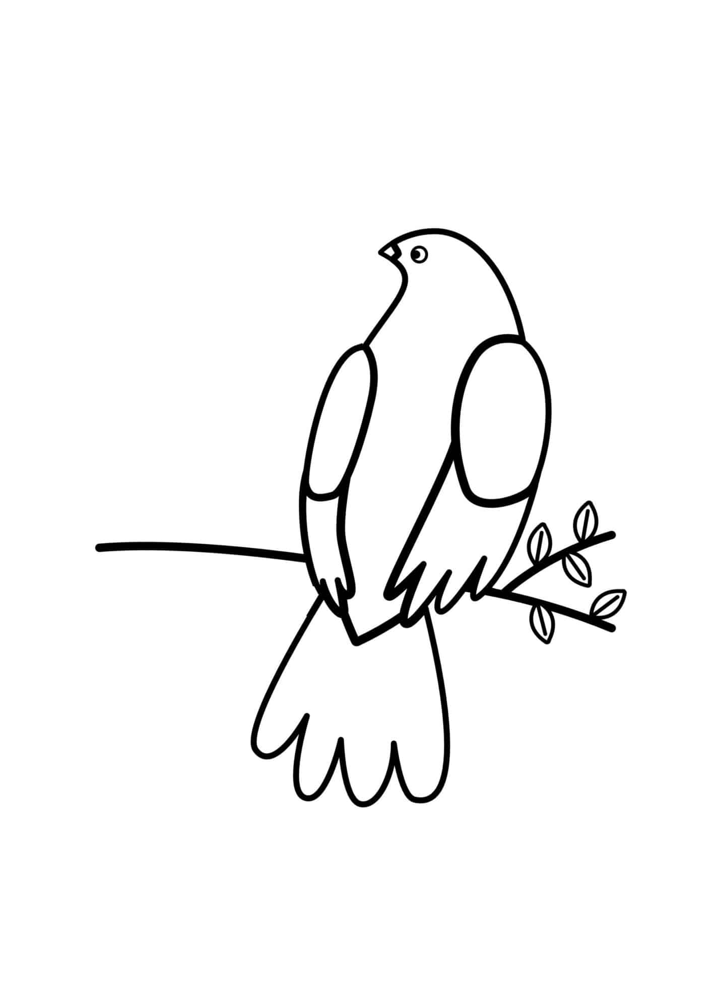 Dove Template Printable 4 Free Designs The Pink Craft Box
