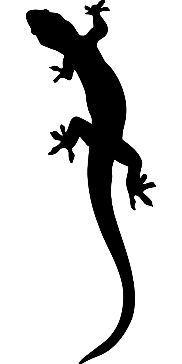 Gecko Stencil Free Printable