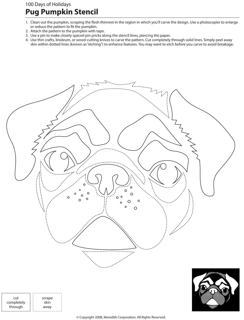 Free Printable Pug Pumpkin Stencil