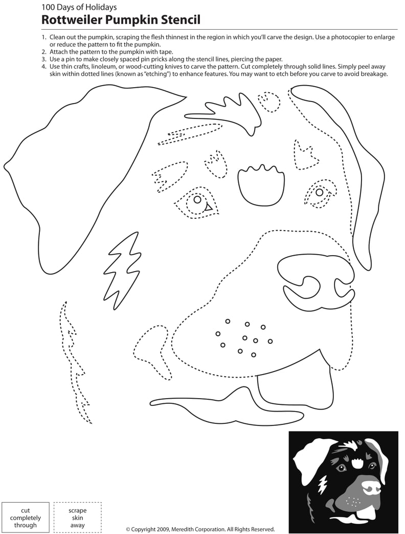 Free Printable Pitbull Pumpkin Stencil