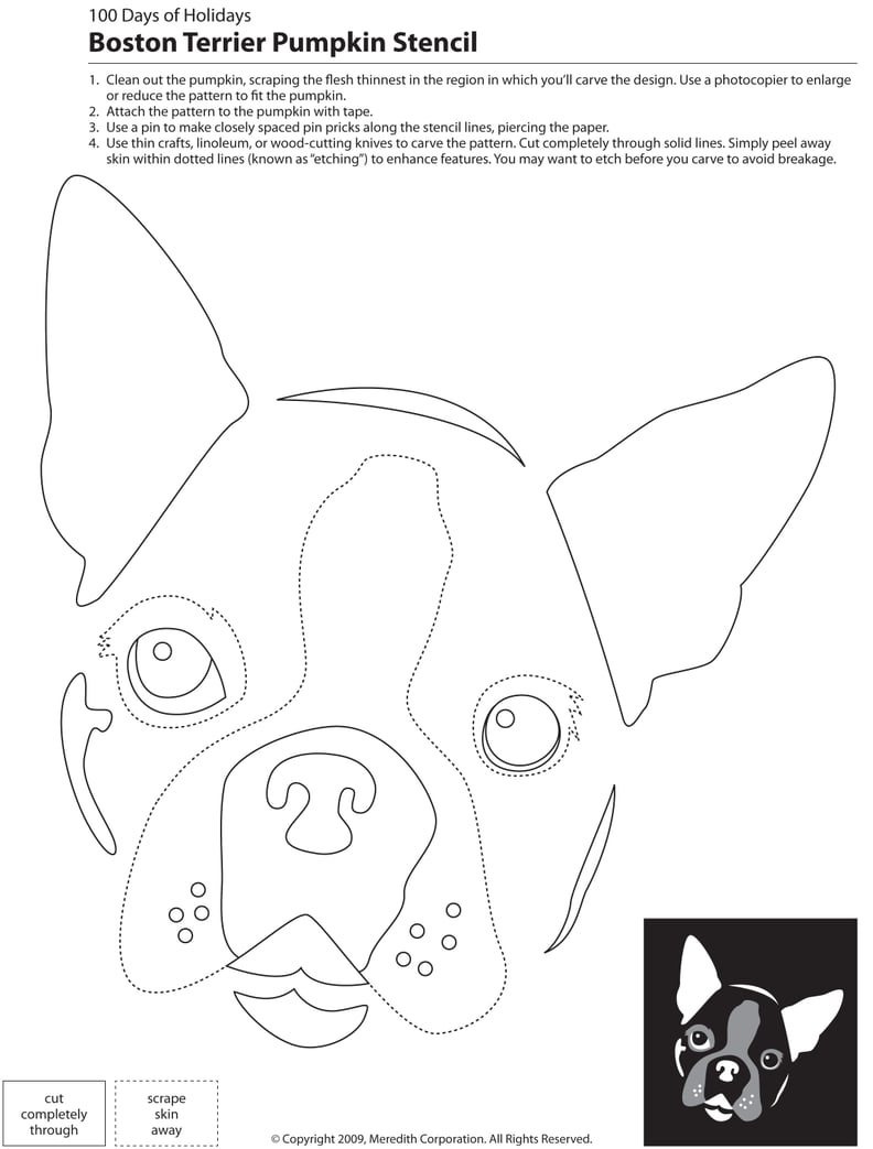 Downloadable Dog Breed Pumpkin Stencils PS Pets