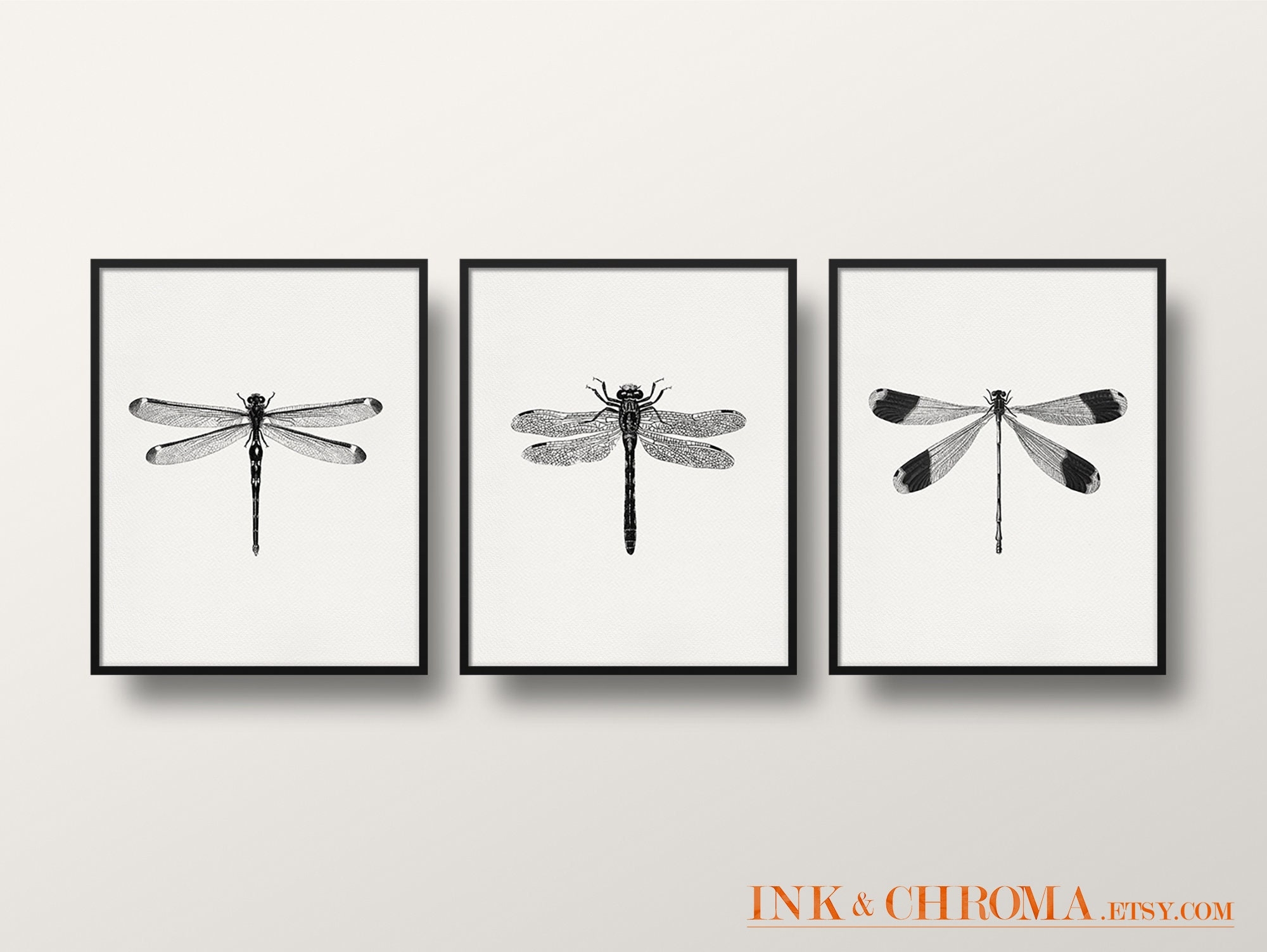 Dragonfly Damselfly Print Set Set Of 3 Wall Art Insect Print Wildlife Art 3 Dragonflies Bug Wall Art 8x8 8x10 Print 5x7 Print Etsy