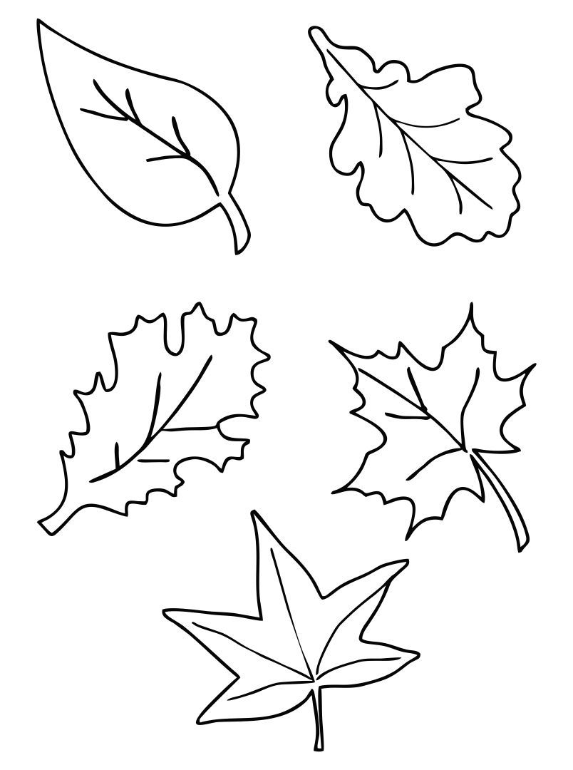 Free Printable Fall Leaf Stencils