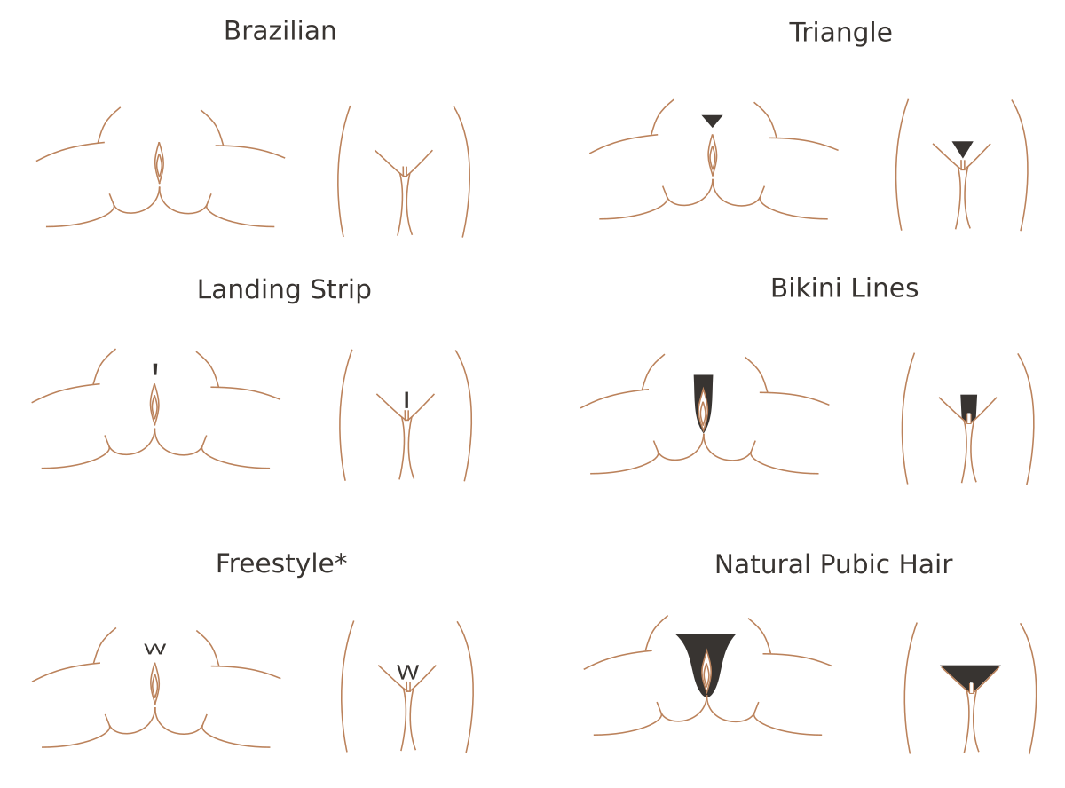 File Pubic Hair Styles svg Wikimedia Commons