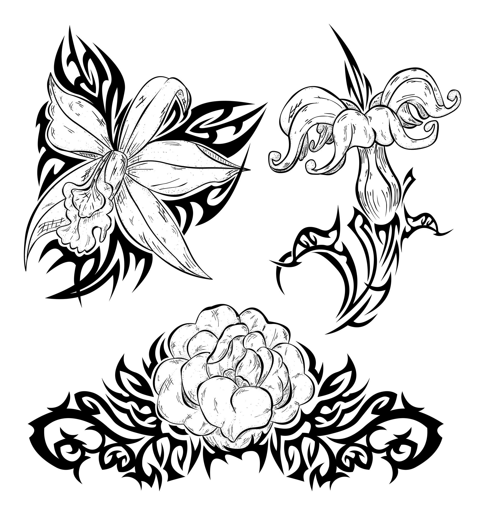 Orchids Stencils Free Printable Tribal
