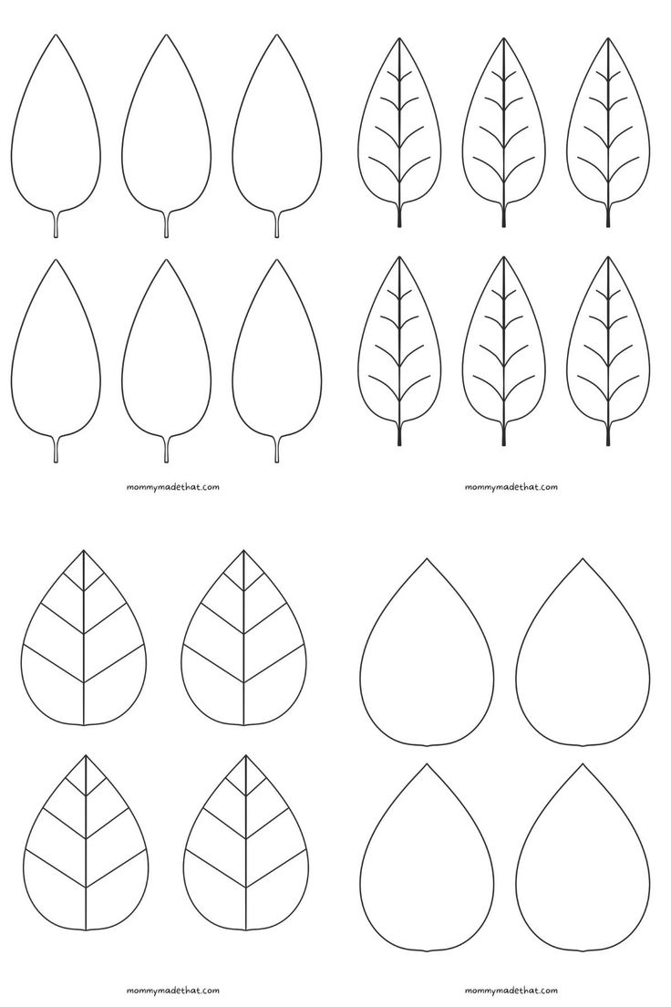 Free Leaf Templates Outlines Tons Of Printables 