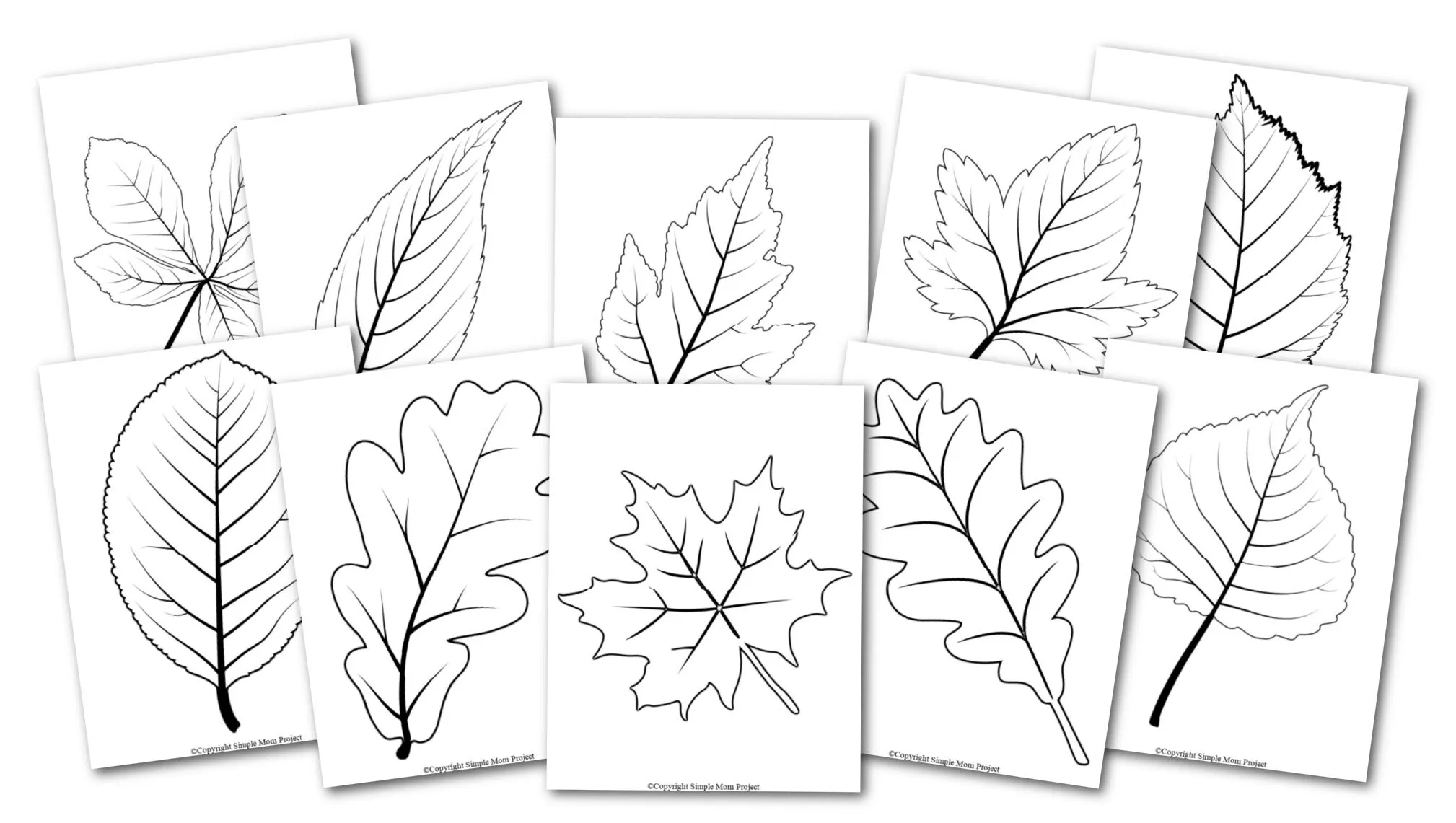 Free Printable Leaves Stencils