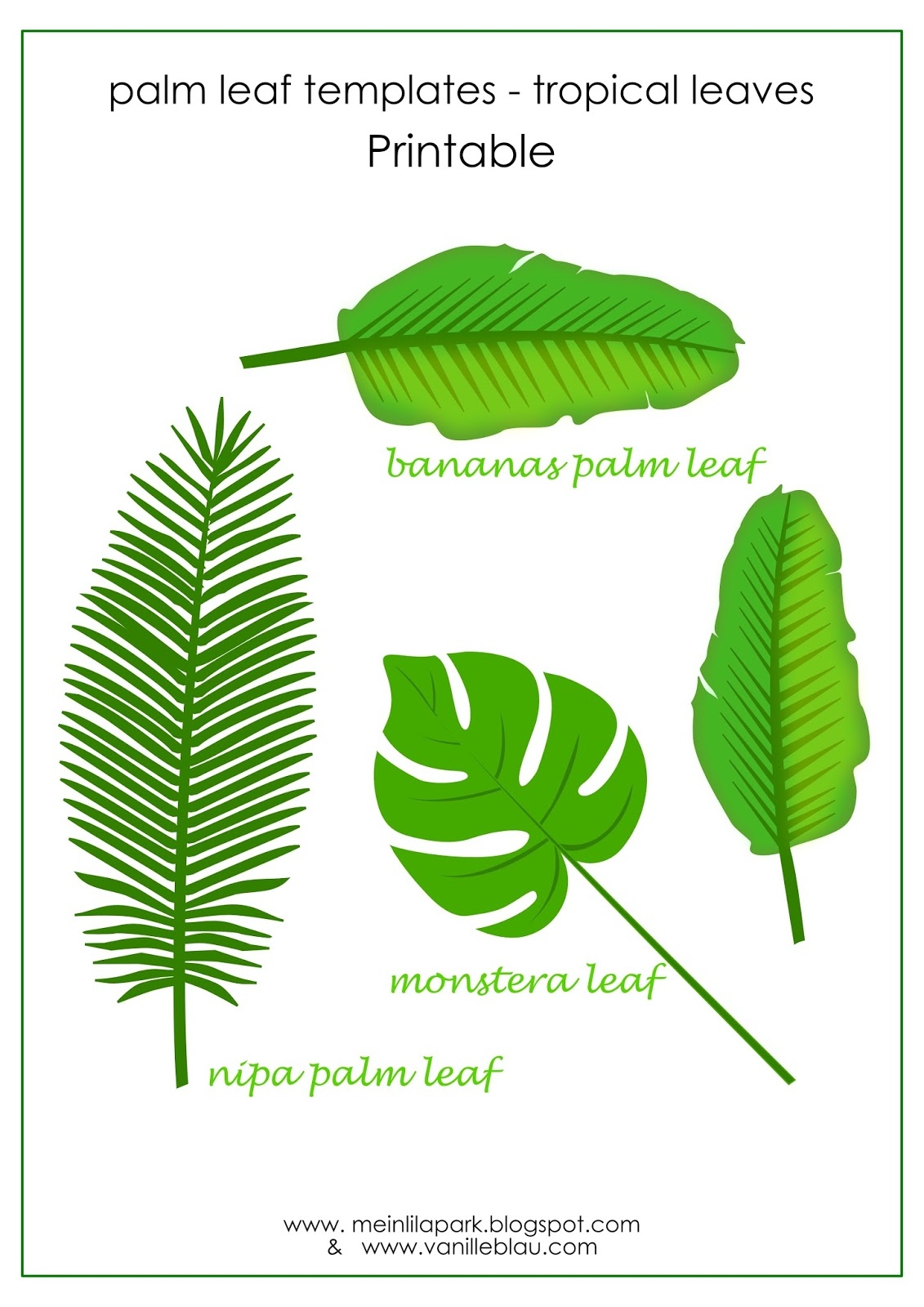 Free Printable Palm Leaf Stencils