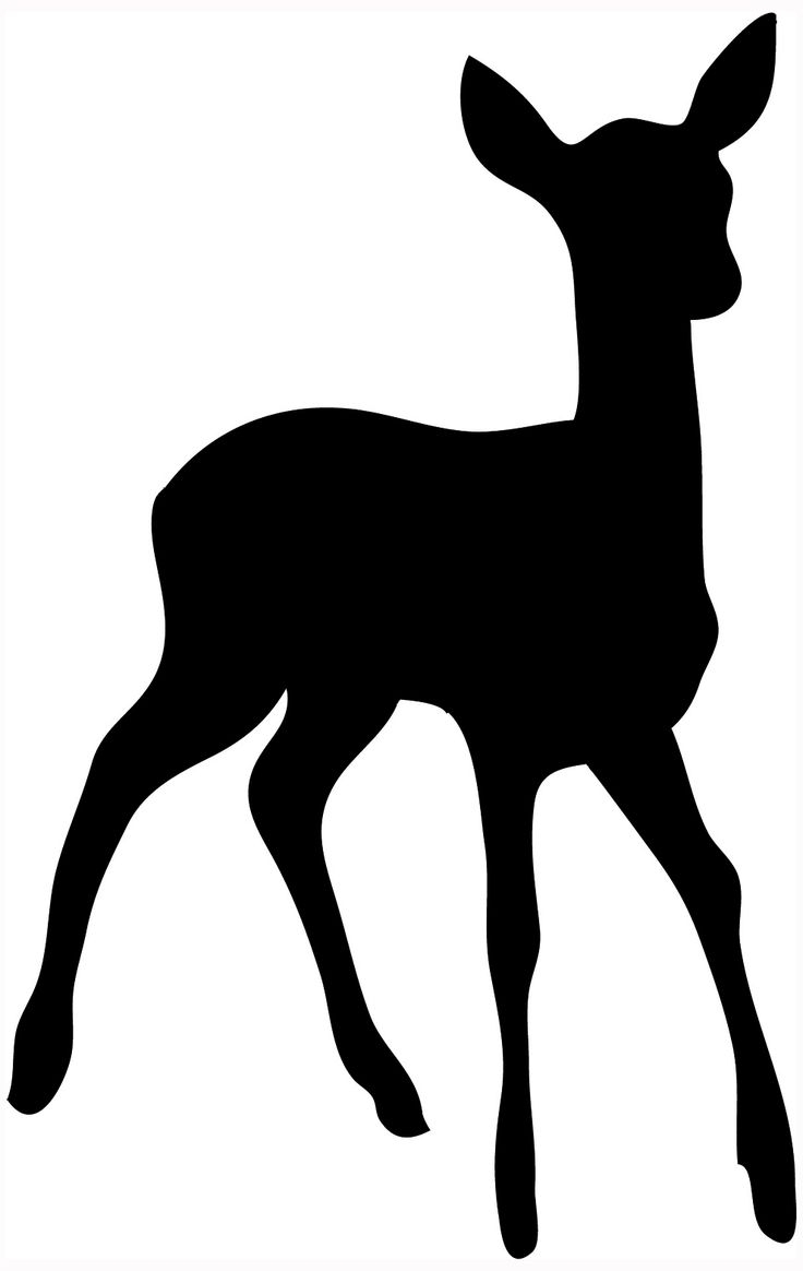 Free Printable Wildlife Stencils