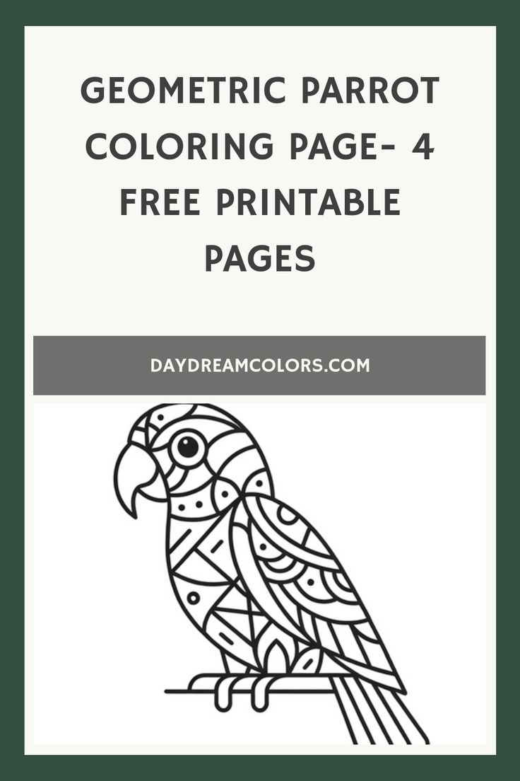 Geometric Parrot Coloring Page 4 Free Printable Pages