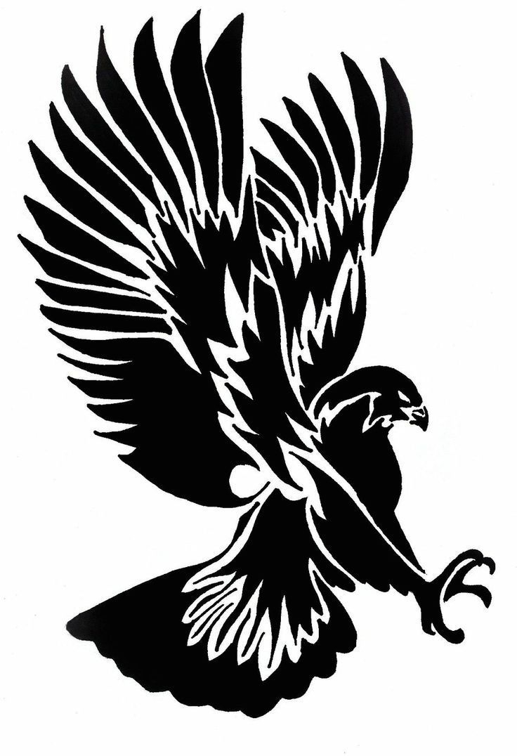 Hawk Design For Woodburning This One Was Very Easy To Do 