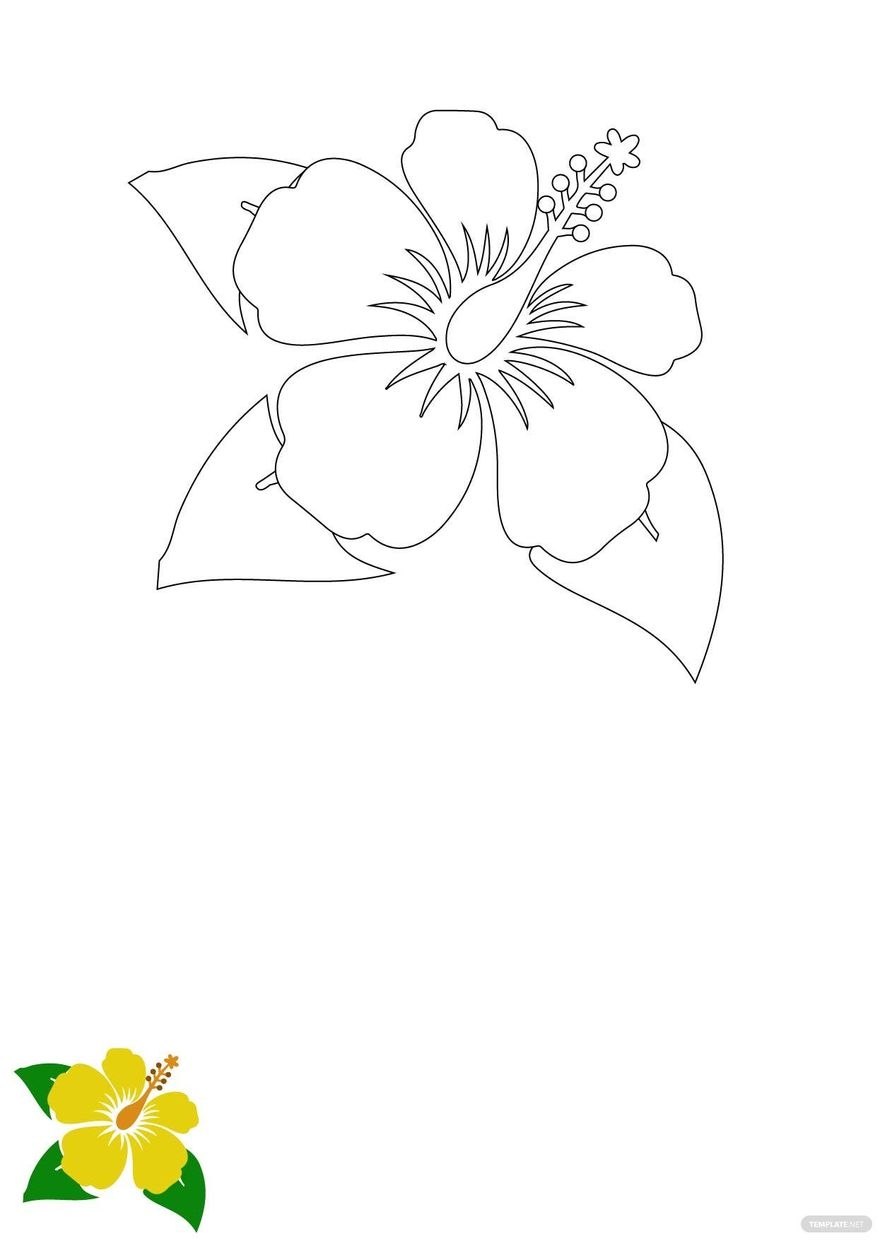Free Printable Hibiscus Flower Stencils