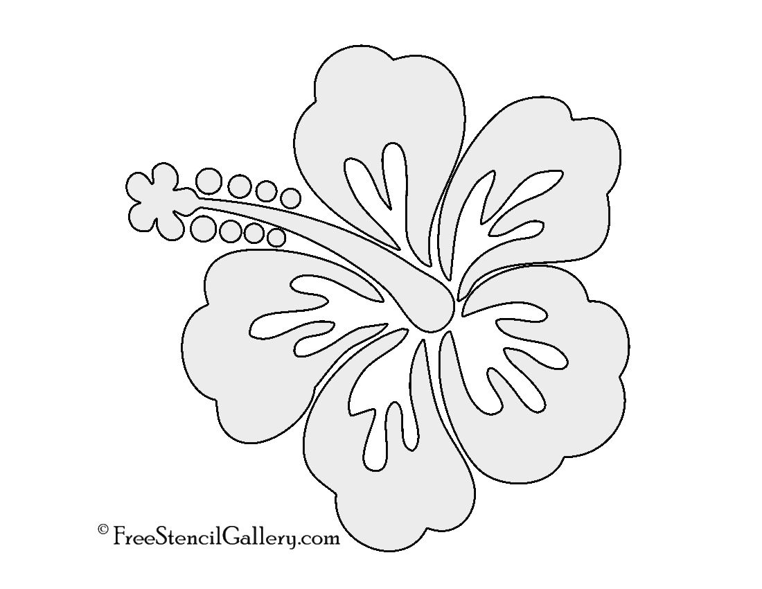 Hibiscus Flower Stencil Worksheets Library
