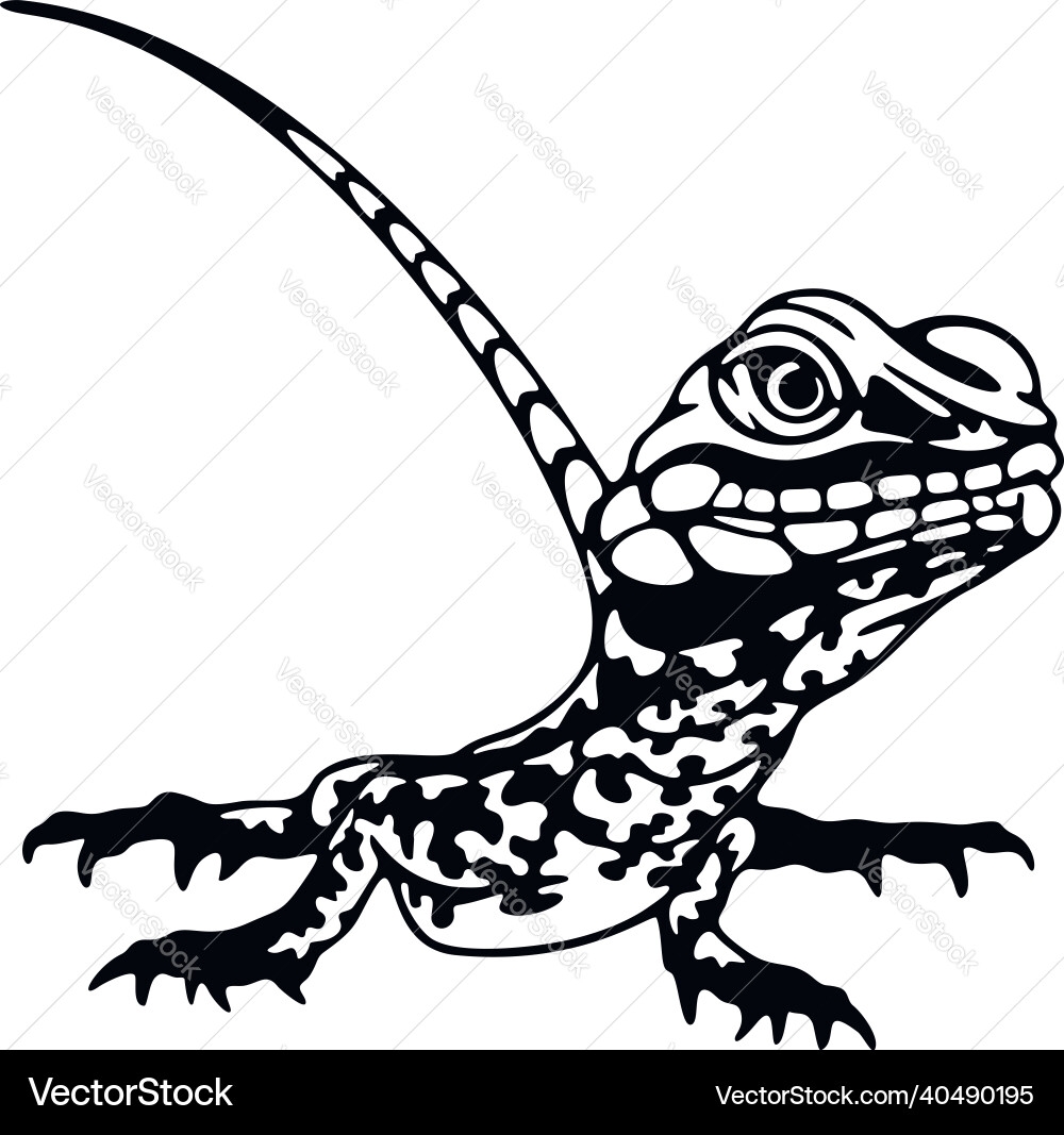 Free Printable Reptile Stencils