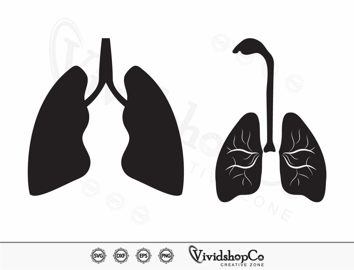 Lung SVG Medical Image Svg Human Lung Svg Bronchial Svg Clipart Cut Files For Silhouette Files For Cricut Vector Dxf Png Design Etsy Denmark