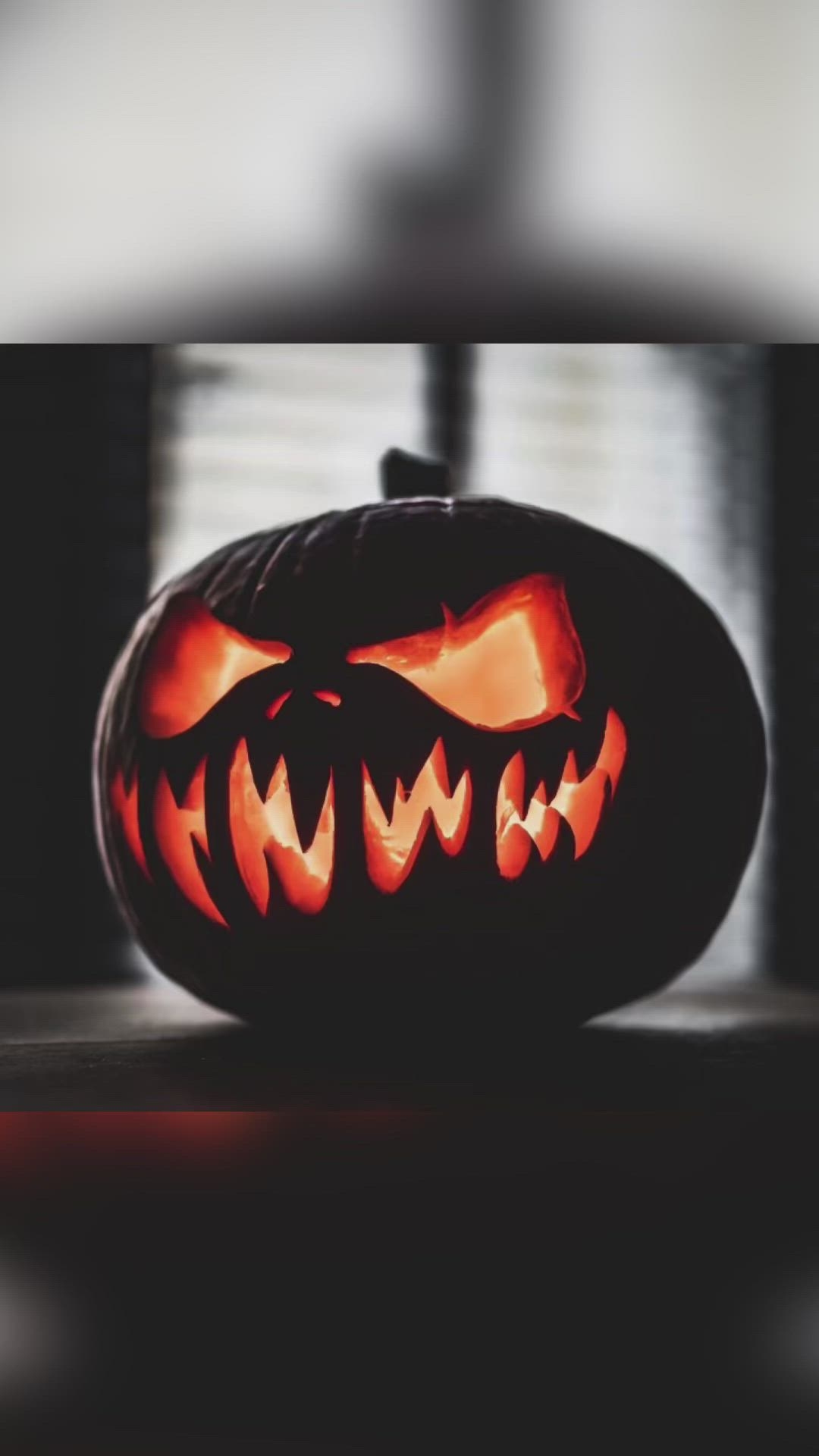 More Cute Halloween Pumkin Ideas 