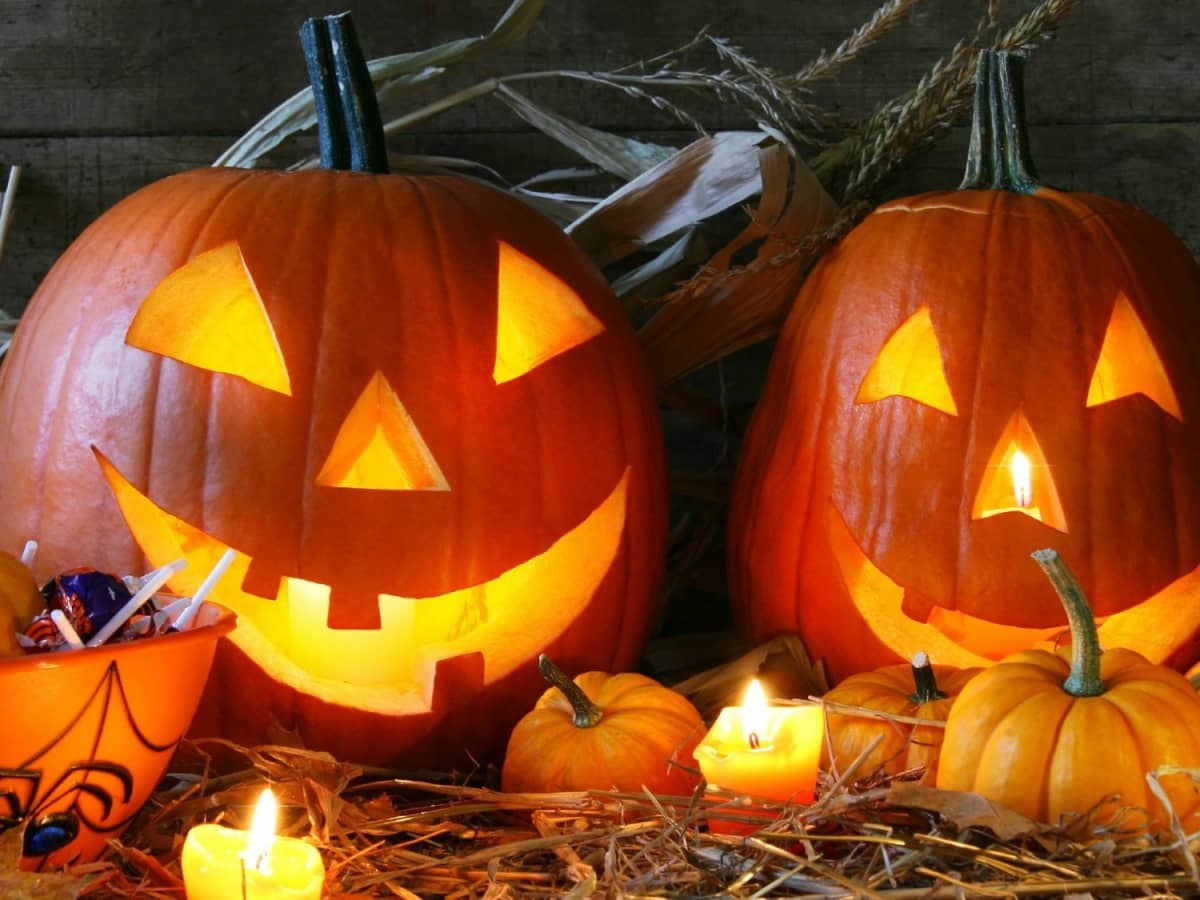  Not Another List Of Free Halloween Pumpkin Carving Patterns HubPages