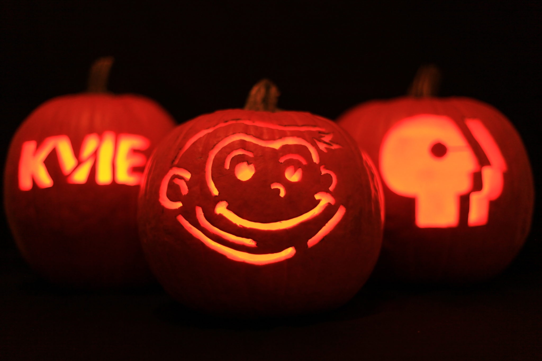 PBS Goes To The Pumpkin Patch PBS KVIE