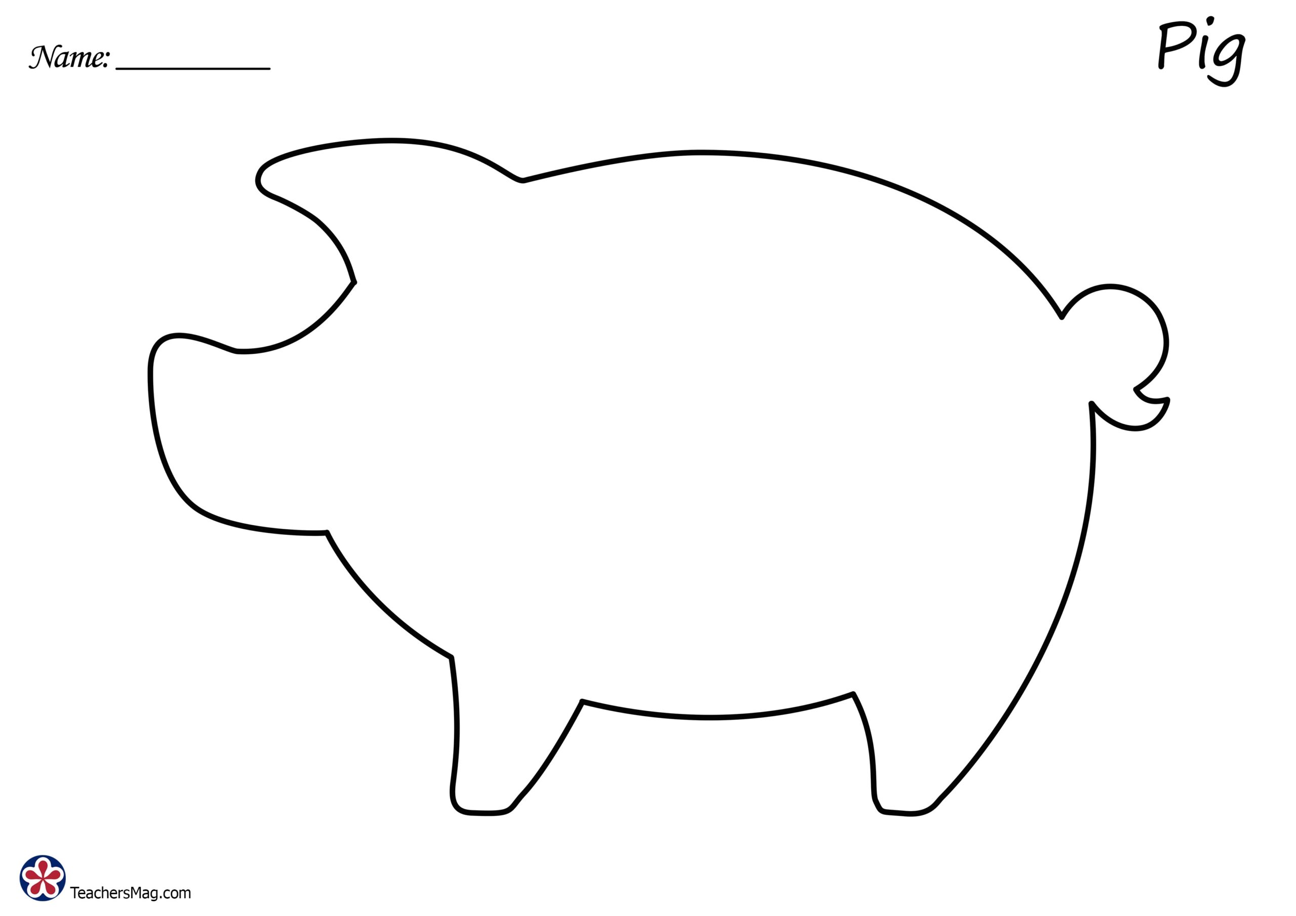 Pig Template