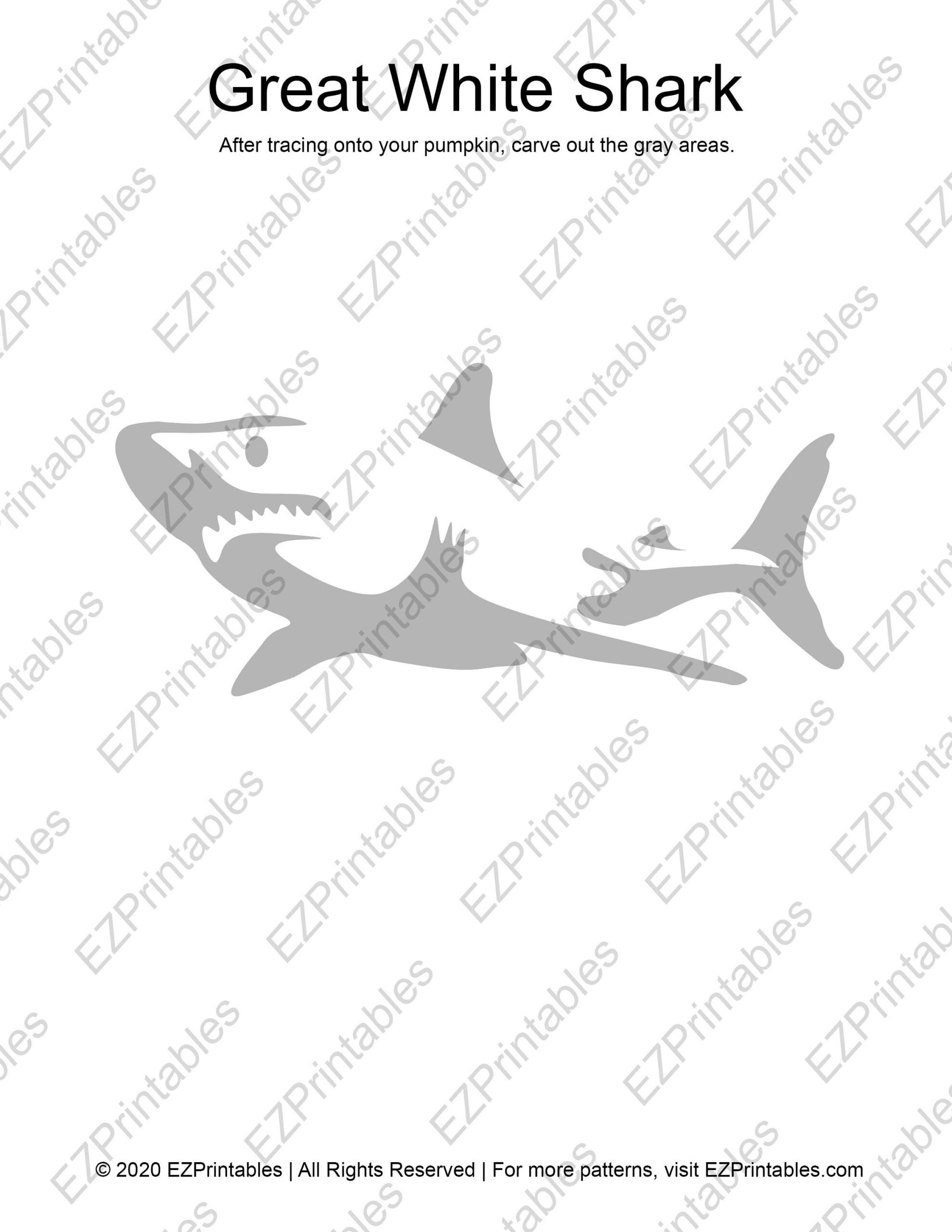 Printable Pumpkin Stencil For Carving Great White SHARK Silhouette Fun Unique Halloween Pumpkin Pattern Template For Shark Lovers Etsy