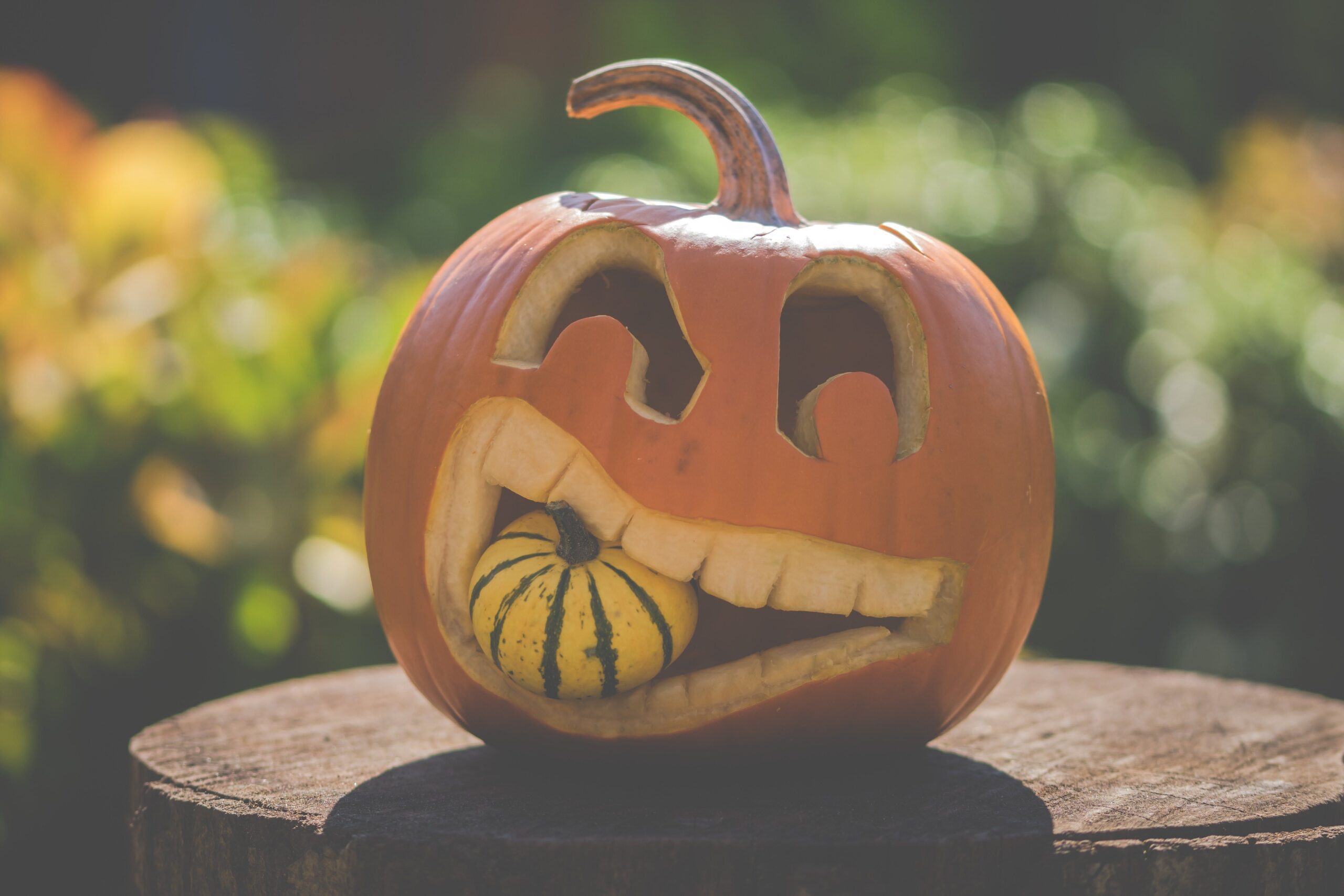 Pumpkin Carving Ideas Halloween