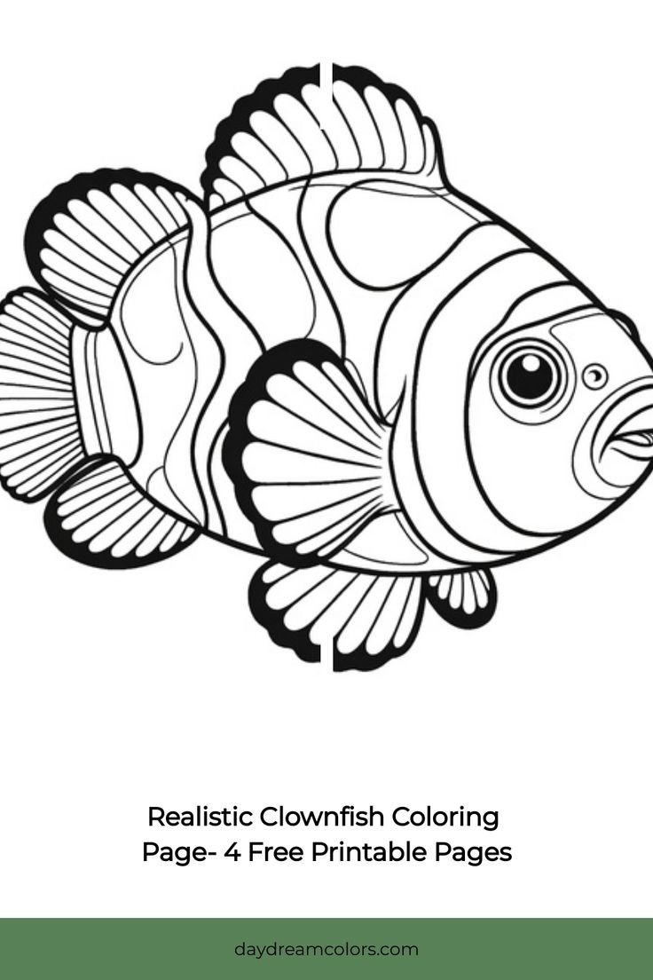 Realistic Clownfish Coloring Page 4 Free Printable Pages