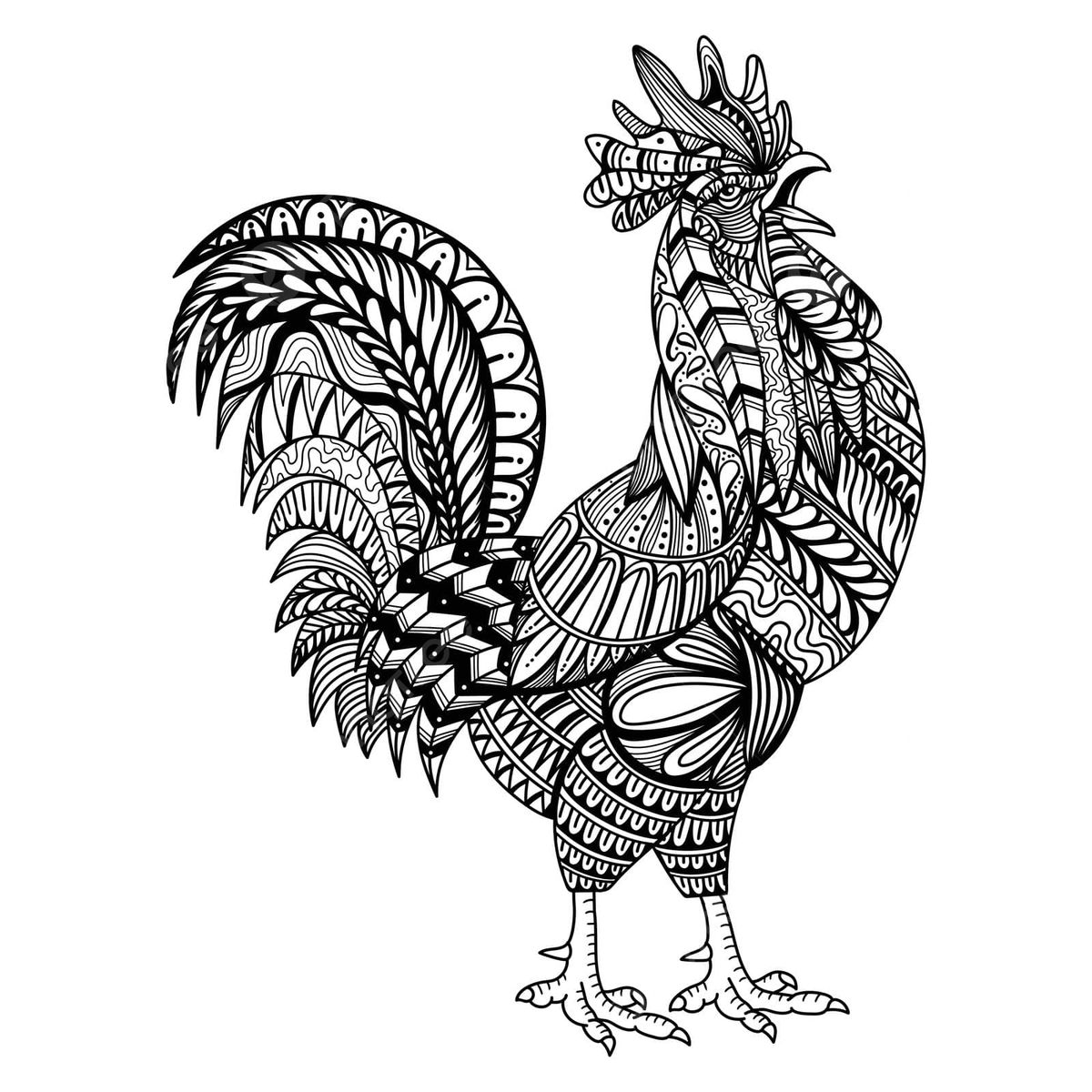 Rooster Chicken Mandala Zentangle Coloring Page Illustration Graphic Doodle Rooster Vector Template Download On Pngtree
