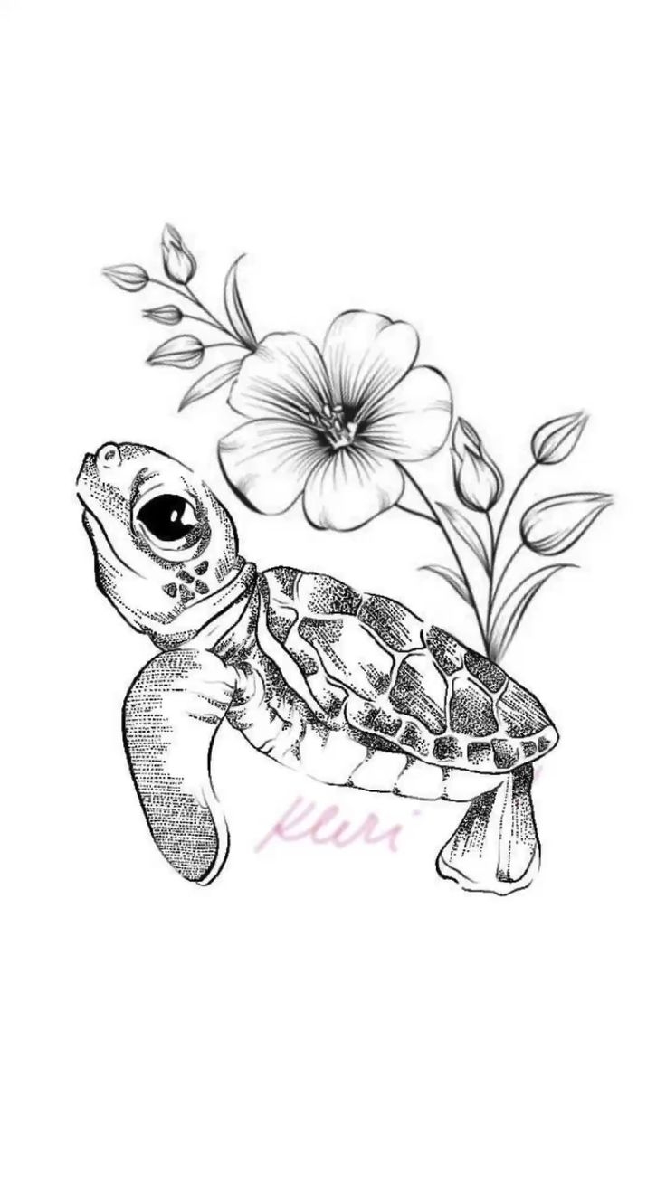 Sea Turtle Cassie Penwell