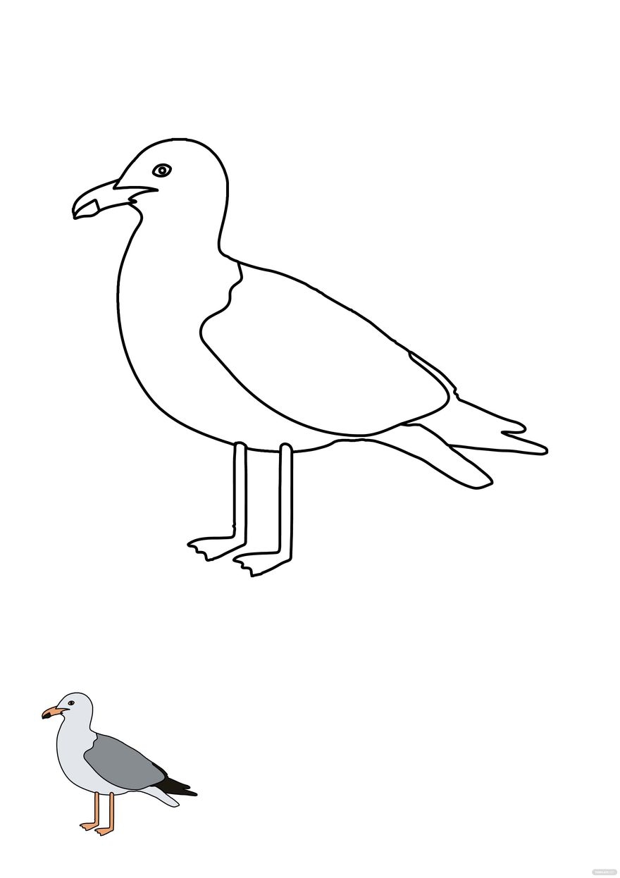Seagull Coloring Page Template In PDF EPS JPEG Download Template