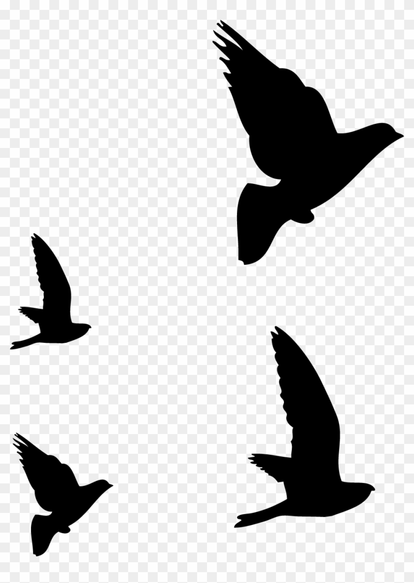 Seagull Vector Tribal Pajaros En Stencil HD Png Download 951x1294 2186298 PngFind