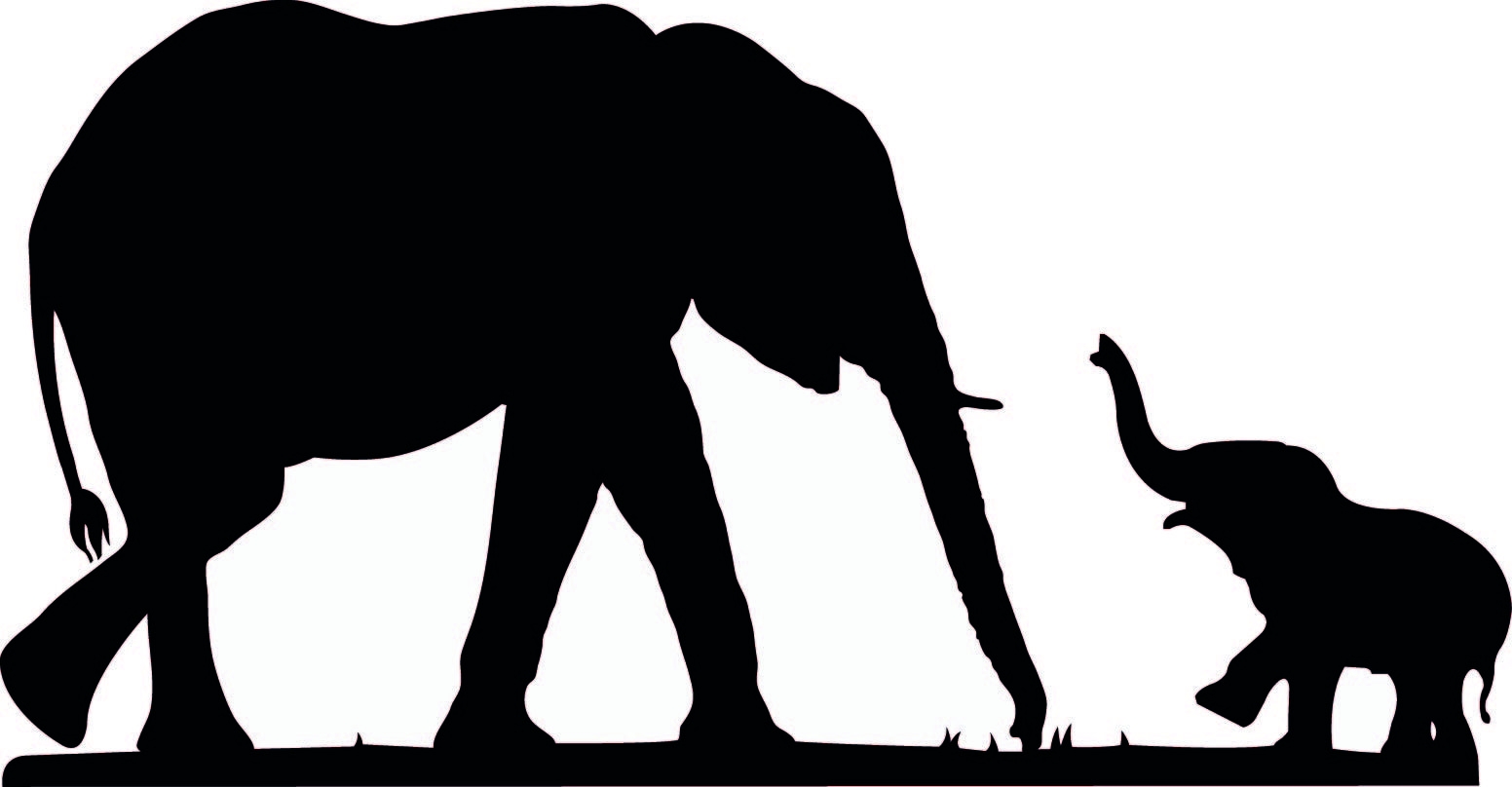 Simple Baby Elephant Outline Images Pictures