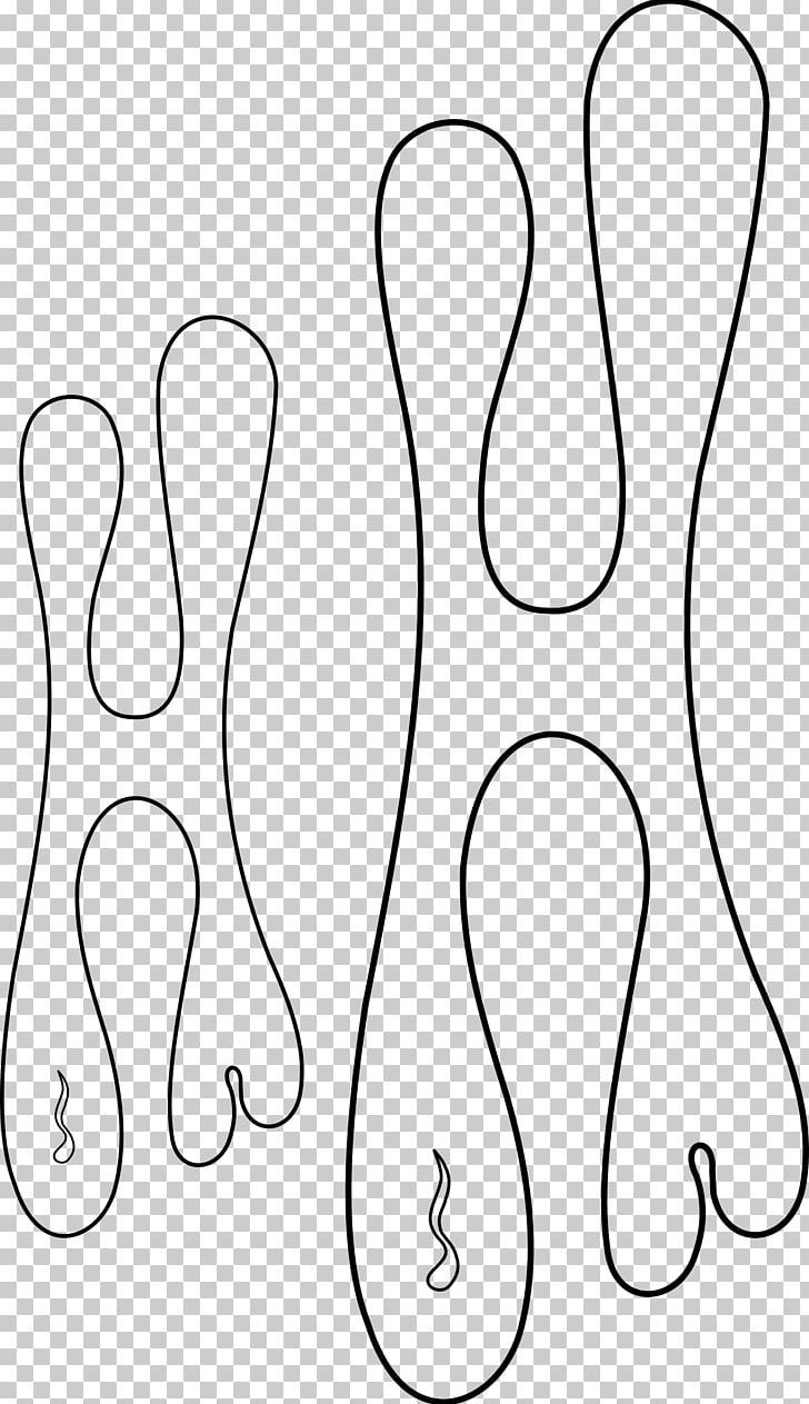 Stencil Airbrush Flame PNG Free Download
