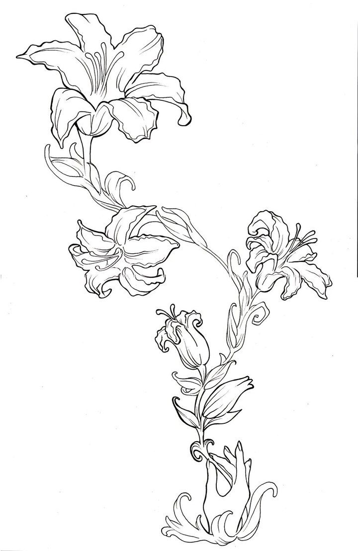 Tattoo Flash Lily By SlyAguilar On DeviantArt