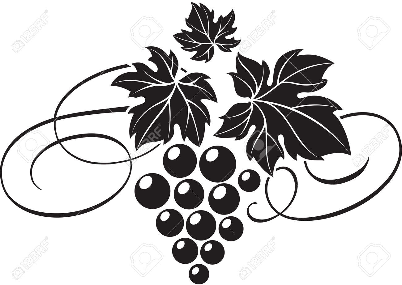 Vector Illustration Of Grape Bunch With Leaves As Wine Logo Design Template Royalty Free SVG Cliparts Vectors And Stock Illustration Image 127916000 