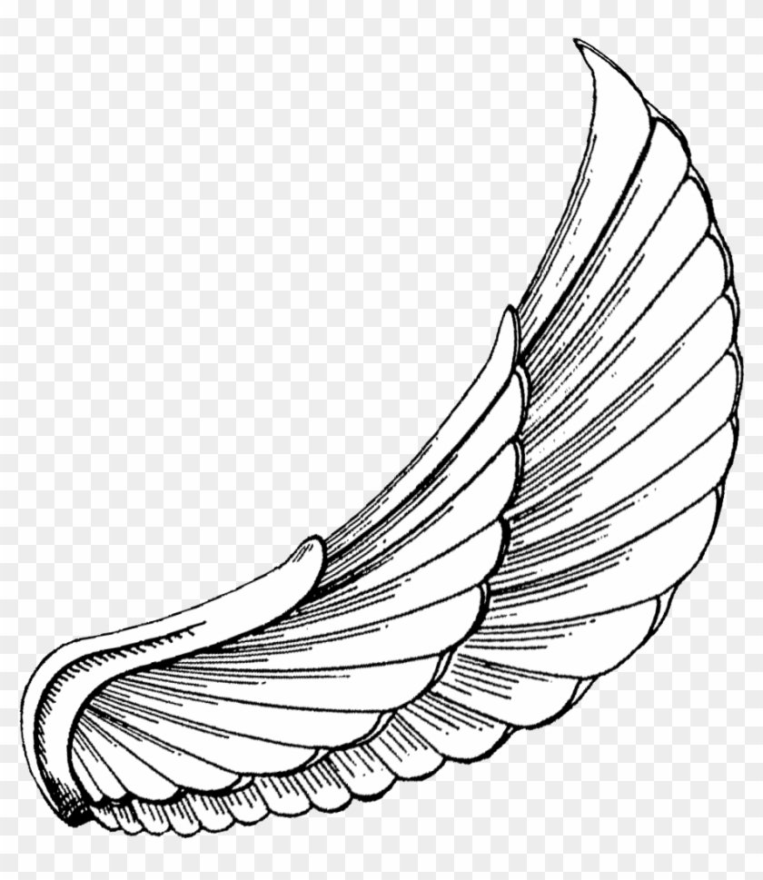 Vector Royalty Free Download To Download Click On Egyptian Wings Tattoo Designs Free Transparent PNG Clipart Images Download