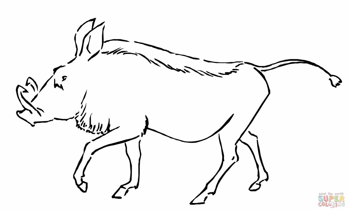 Warthog Coloring Page
