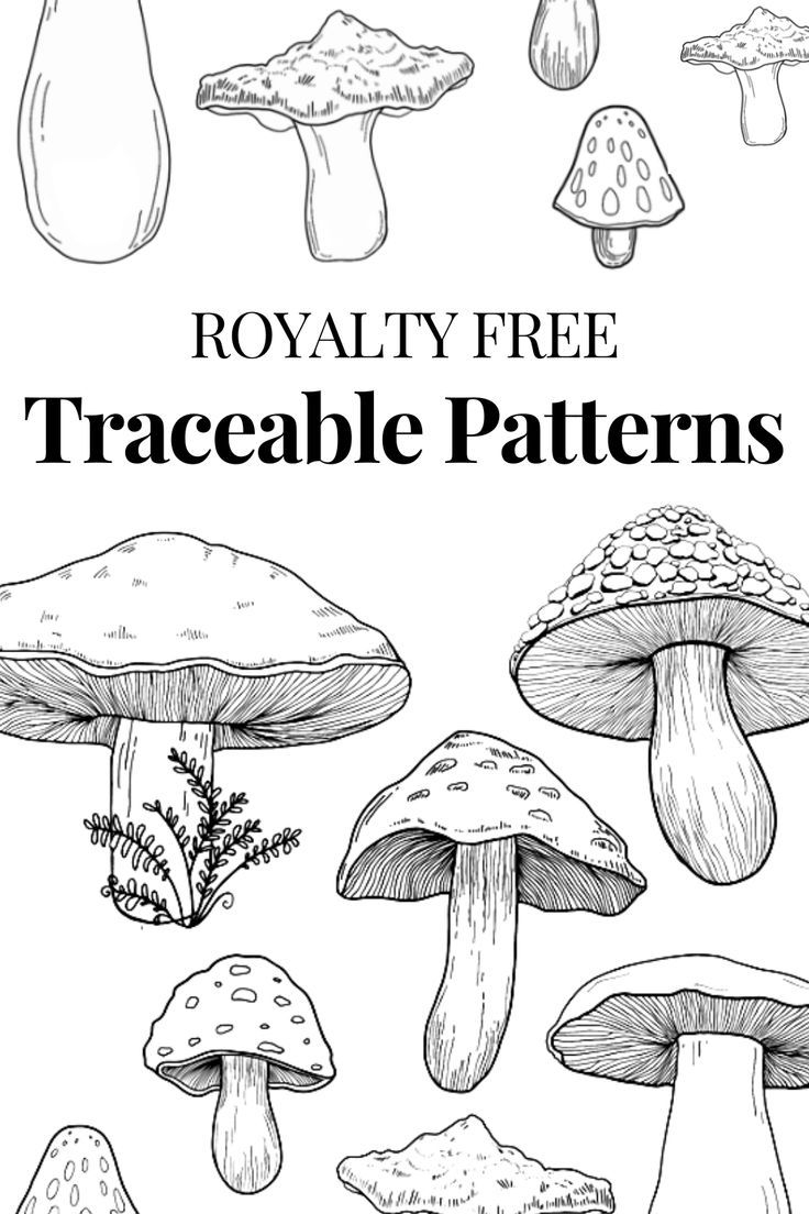 Wood Burning Patterns You Can Trace And Sell 